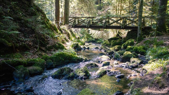 Holzbrücke in der Ravennaschlucht | © Sunhikes