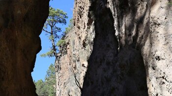 Felswände im Slotcanyon des Barranco del Río