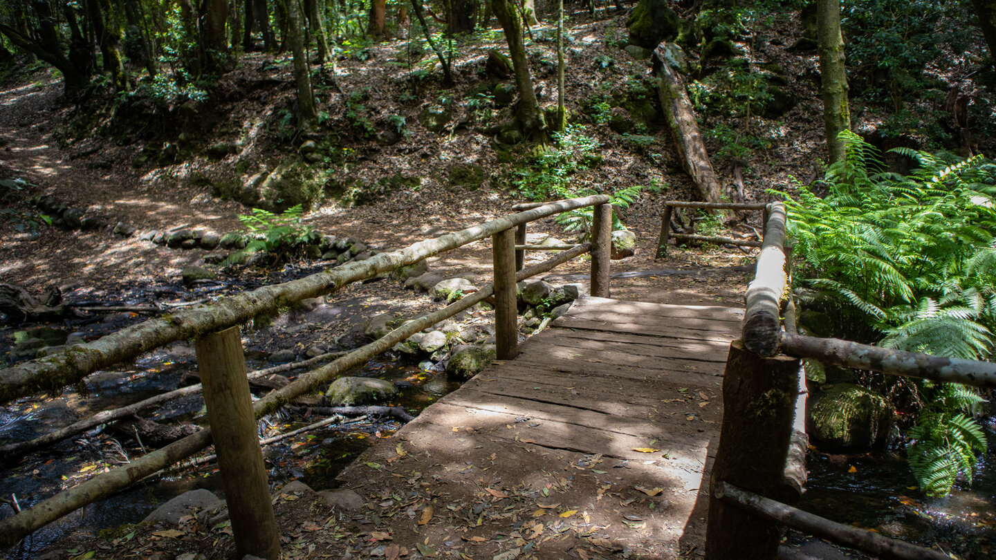 Brücke über den Bachlauf El Cedro