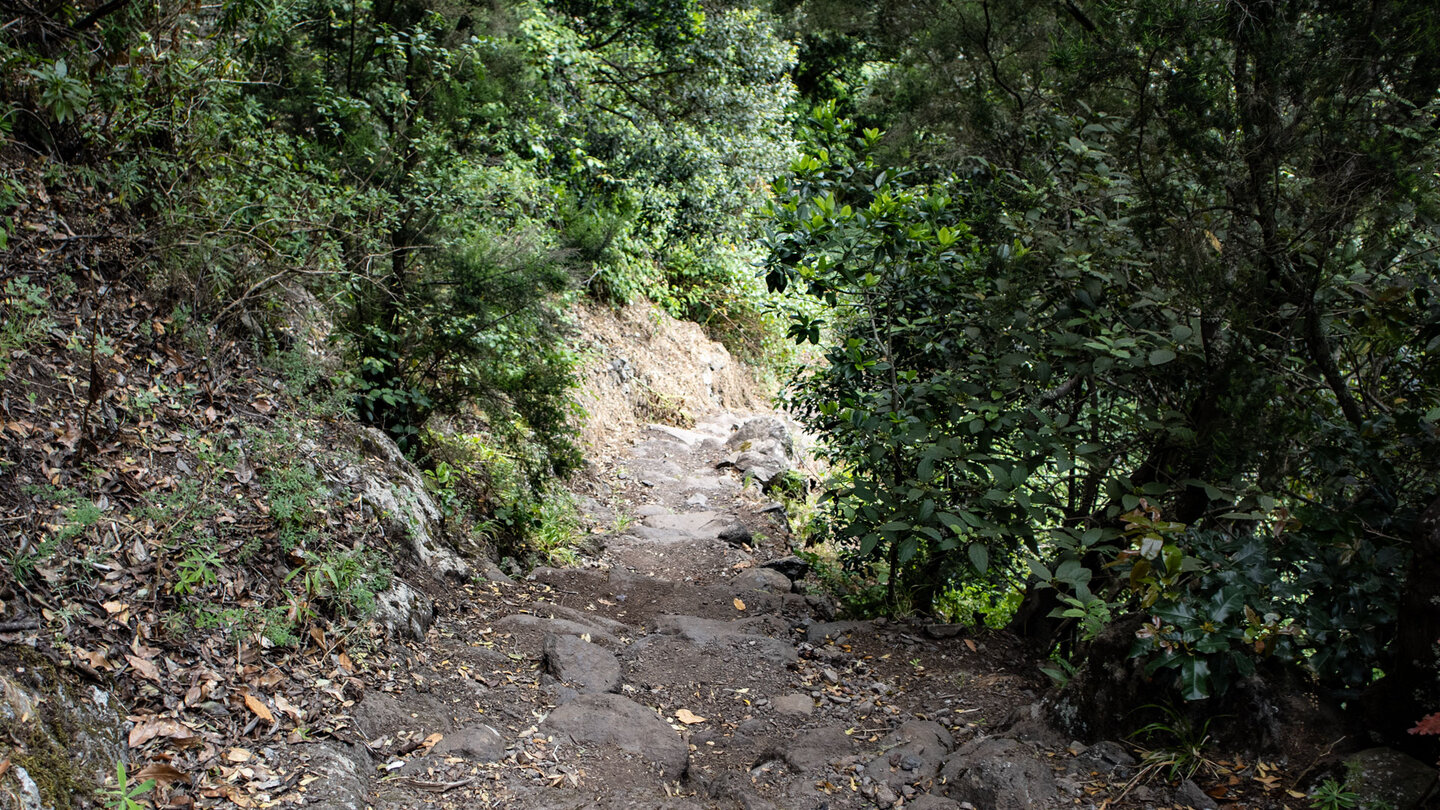 Abwanderung zu Wasserfall Chorro del Cedro,