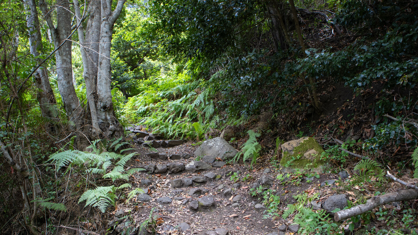 Wanderweg über Felsstufen im Barranco del Rejo