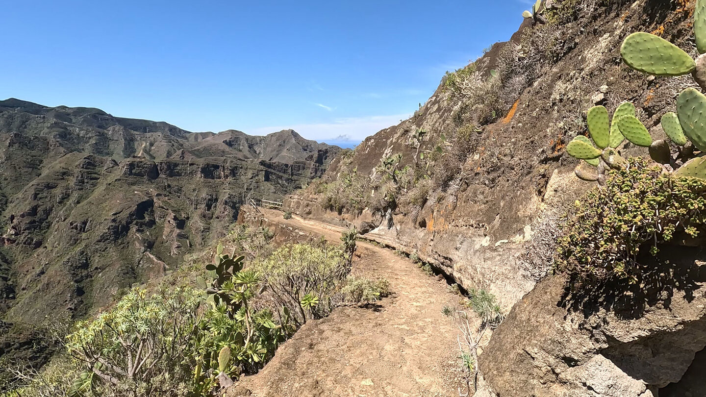 Wanderweg von Punta del Hidalgo nach Chinamada