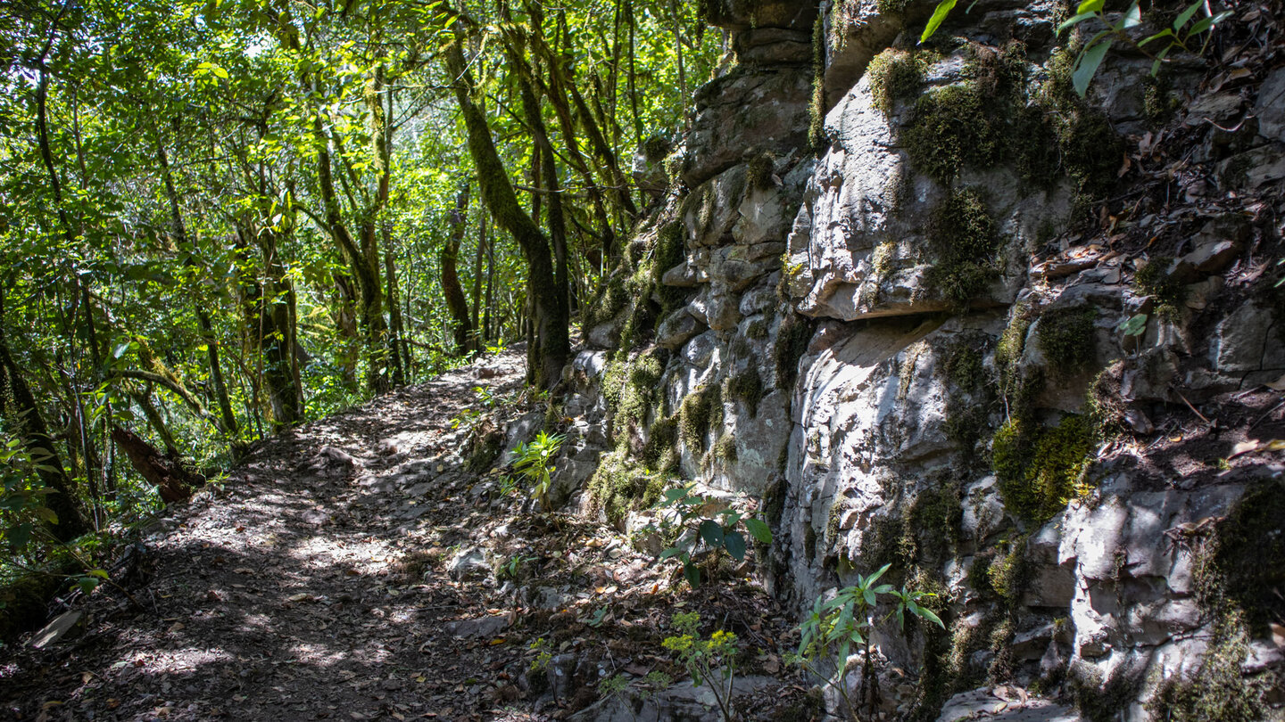 Felsen am Wegesrand des Abschnitts entlang des GR-131