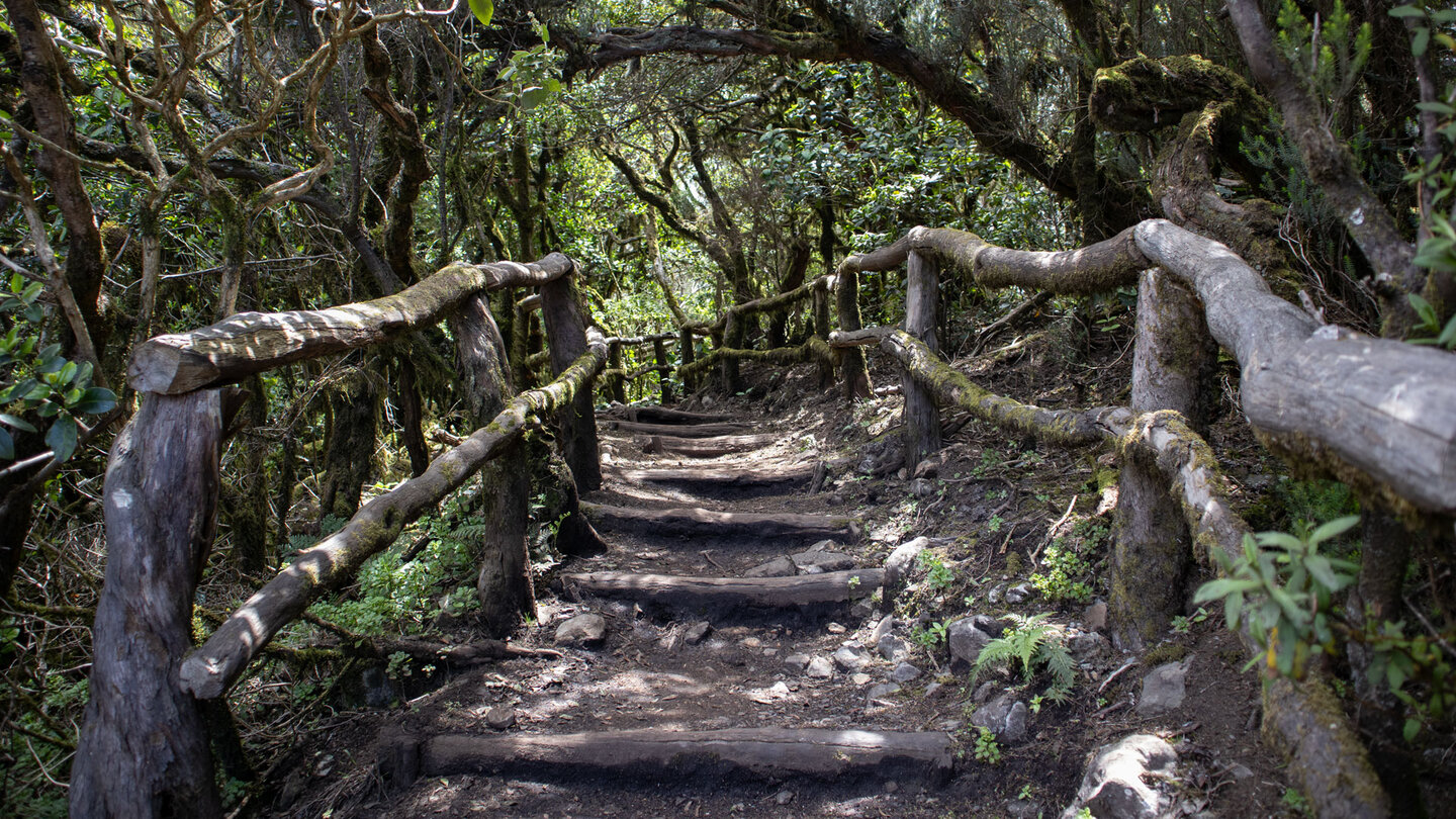 malerischer Weg zum Aussichtspunkt Risquillos de Corgo