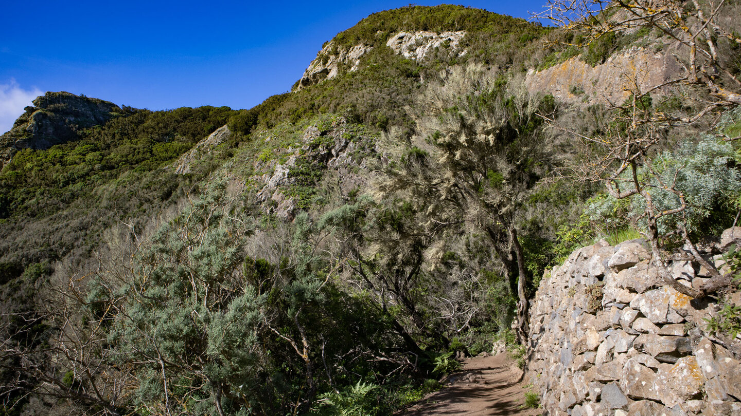 traditioneller Wanderweg im Anaga entlang Schichtmauern