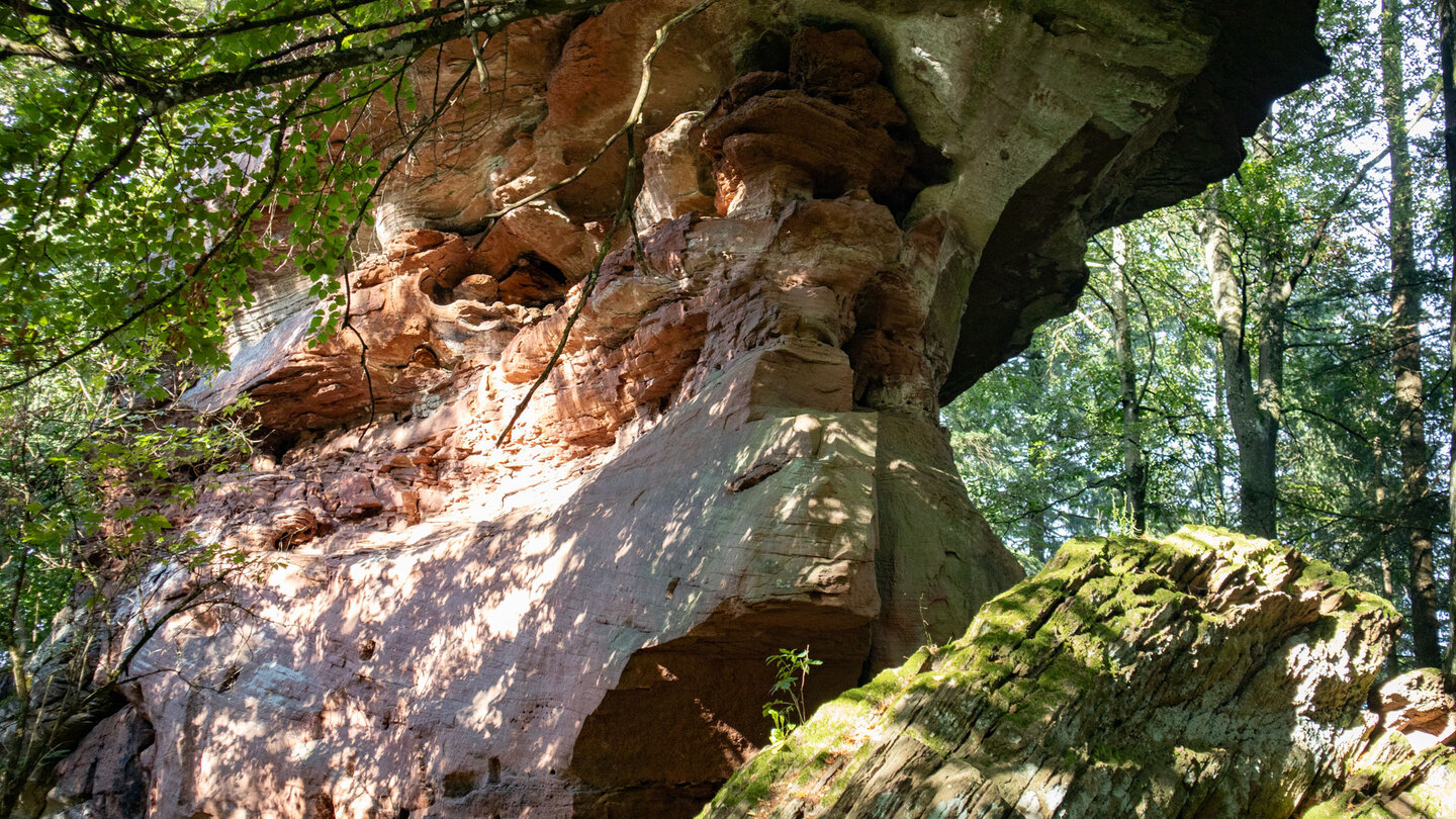 die Sandsteinformation Krötenstuhl lieg etwas oberhalb des Wanderwegs