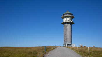 auf dem Weg zum Feldbergturm