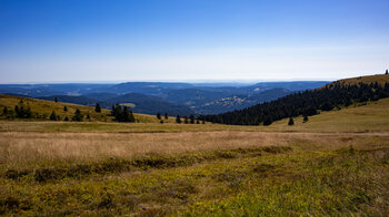 vom Wanderweg blickt man übers Grübele auf die Berg- und Hügellandschaft des Schwarzwalds