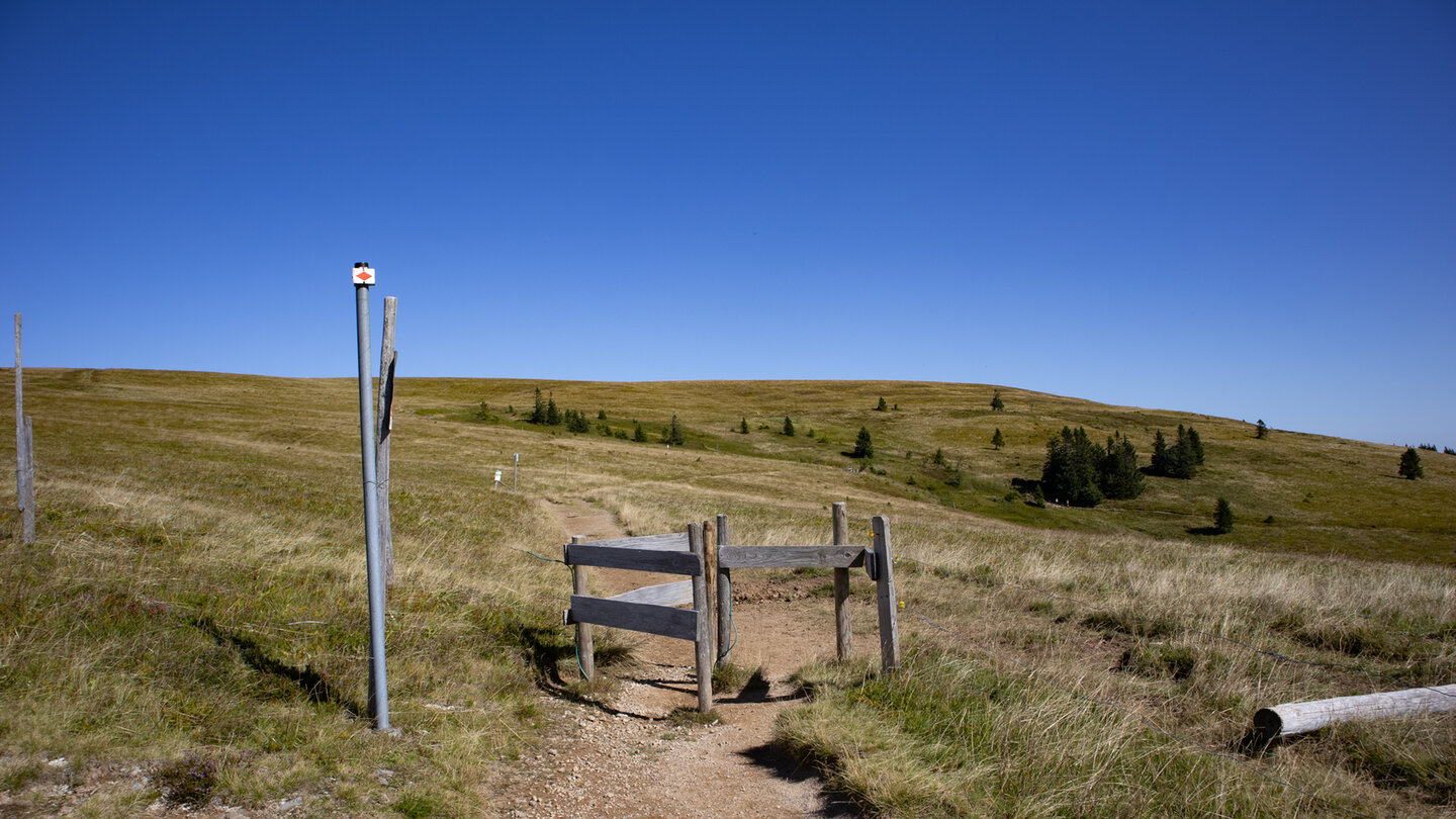 an der Wegkreuzung im Grüblesattel beginnt der Emil-Thoma-Weg