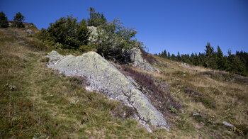 Felsformationen am Emil-Thoma-Weg am Feldberg