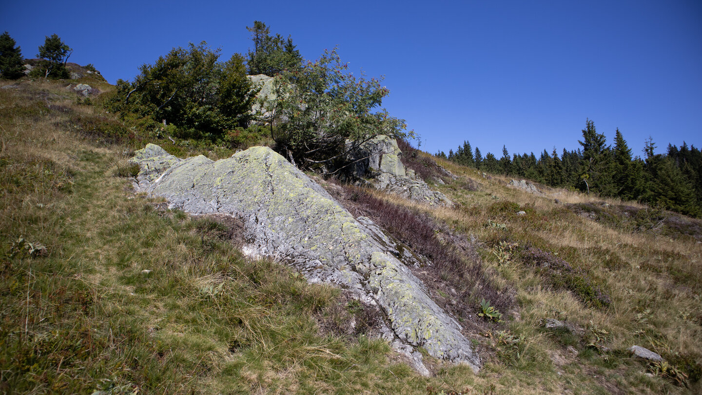 Felsformationen am Emil-Thoma-Weg am Feldberg