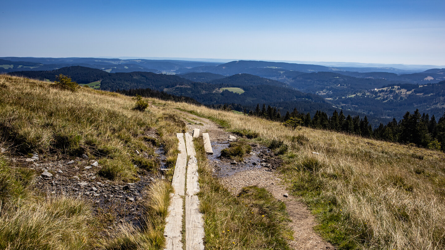 Holzbohlen am Wanderweg durch die Seebach-Quellen