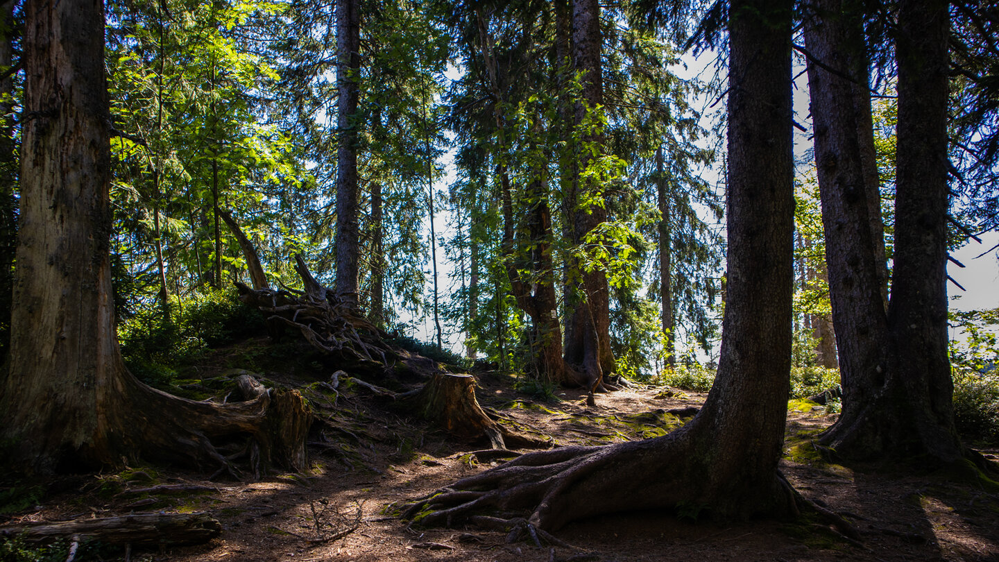 die Wegkreuzung unterm Grübele