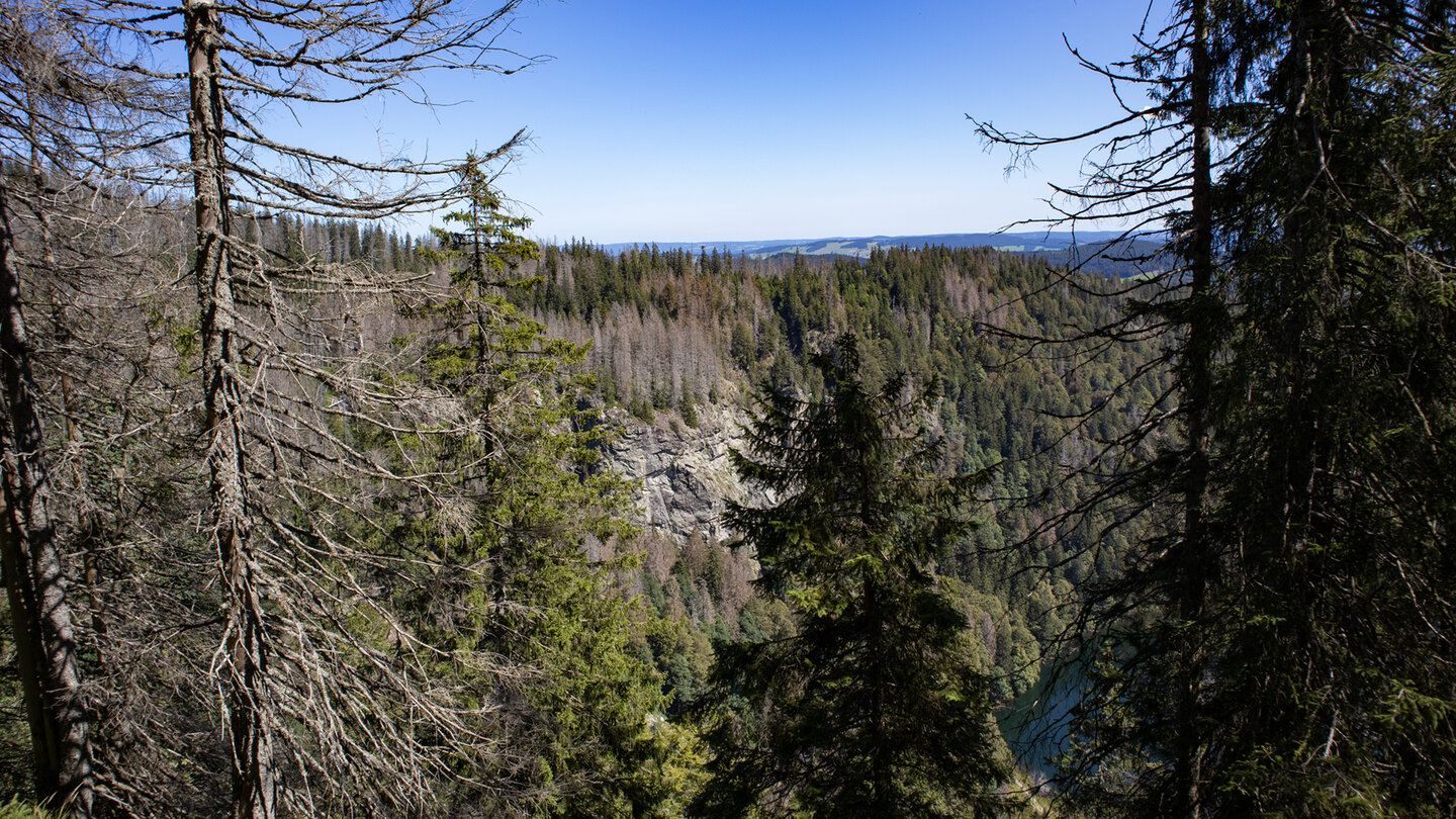 Blick auf die Felswände über dem Feldsee