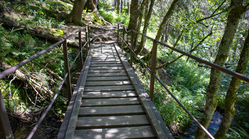 der Wanderweg führt auf Brücken über den Seebach