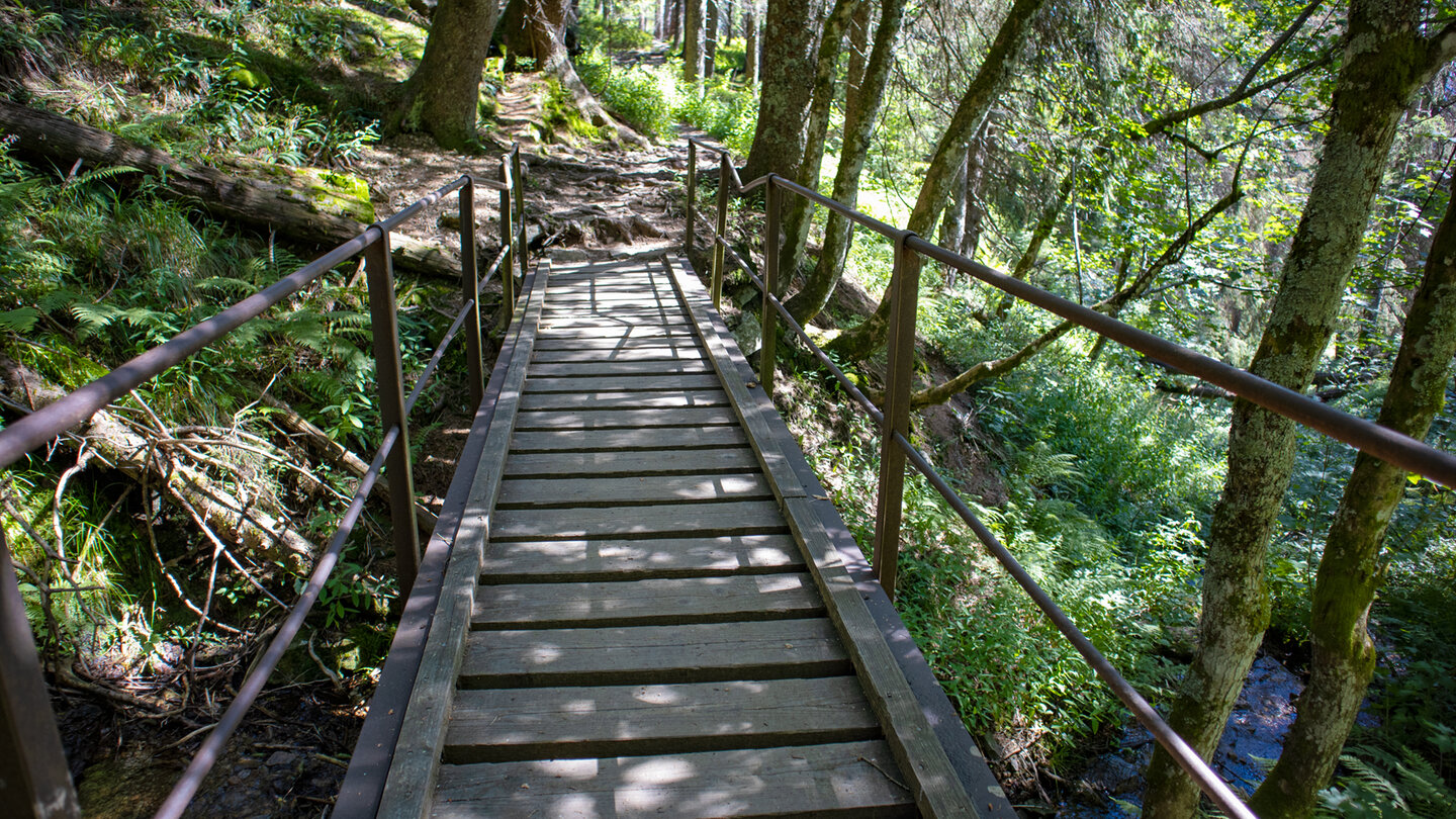 der Wanderweg führt auf Brücken über den Seebach