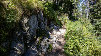 Wanderung durch üppige Vegetation am Felsenweg