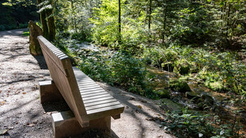 gemütlicher Wanderweg am Bachlauf des Lierbach zur Klosterruine Allerheiligen