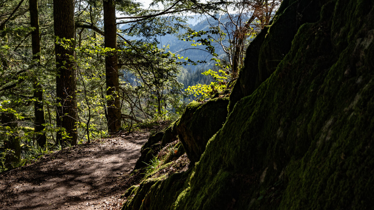 Ausblicke über Schluchten und Täler des Nordschwarzwalds vom Wanderweg