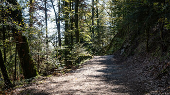 Wanderung zur Engelskanzel