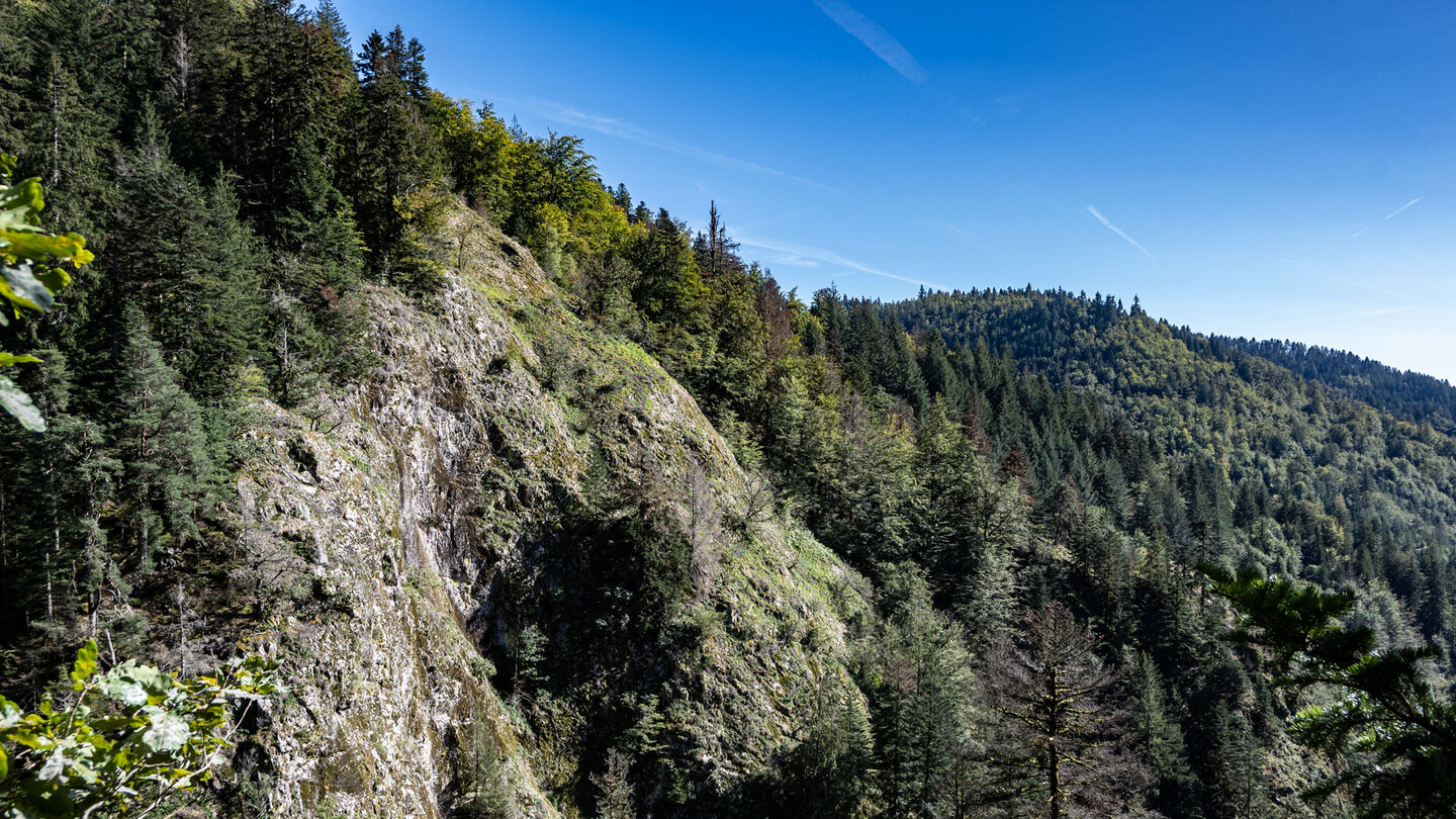 Blick entlang des Studentenfelsens auf die Waldhänge des Nordschwarzwaldes