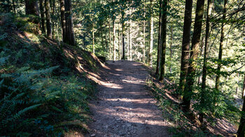 Wanderung nahe des Moospfaff zurück zum Ausgangspunkt