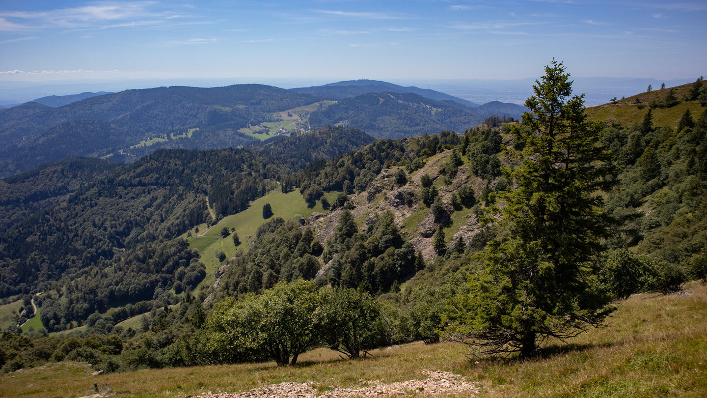 Panoramablick oberhalb des Kleinen Wiesental