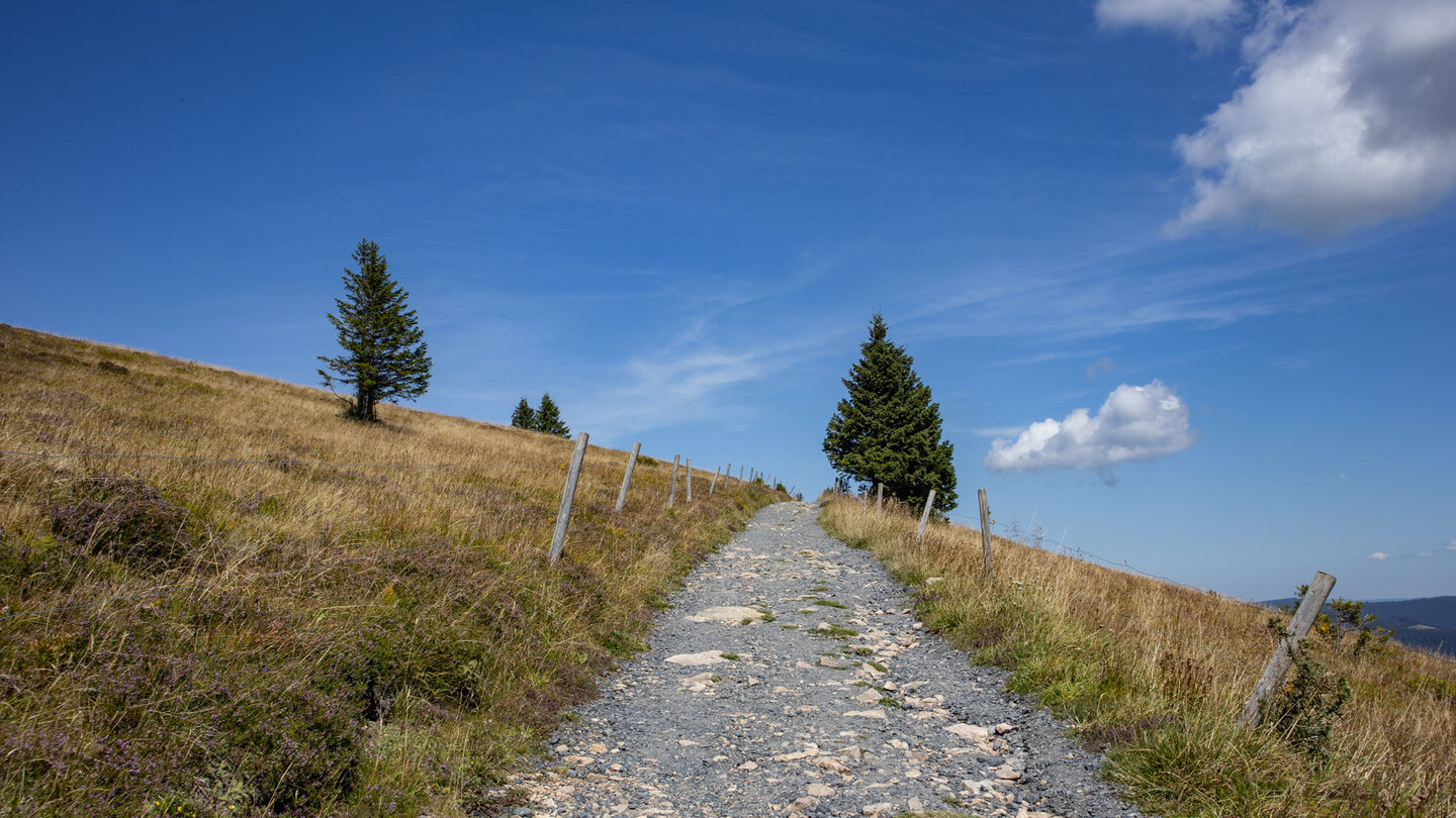 Rundwanderweg zum Belchengipfel