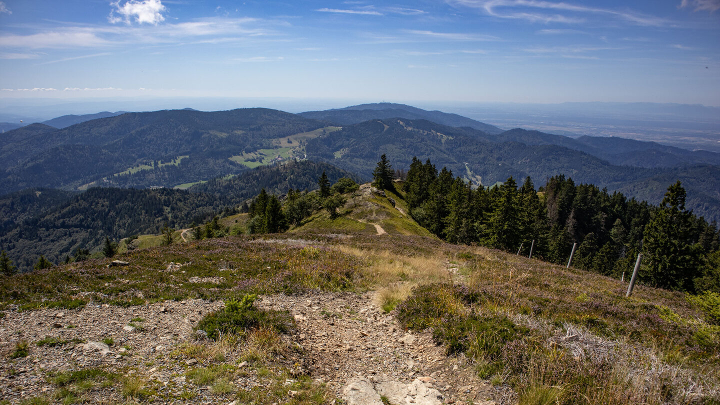 Fernsicht entlang der Abstiegsroute vom Belchengipfel