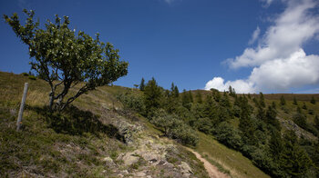 Wanderpfade entlang des Belchen