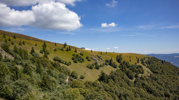 Blick entlang der Bergflanke zum Belchenhaus