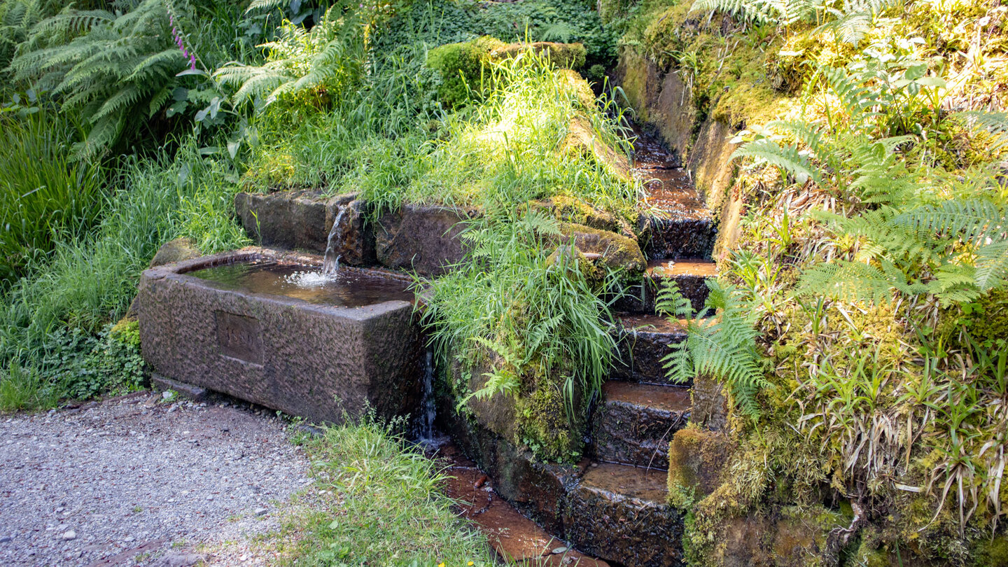 Brunnen am Seehaldenweg