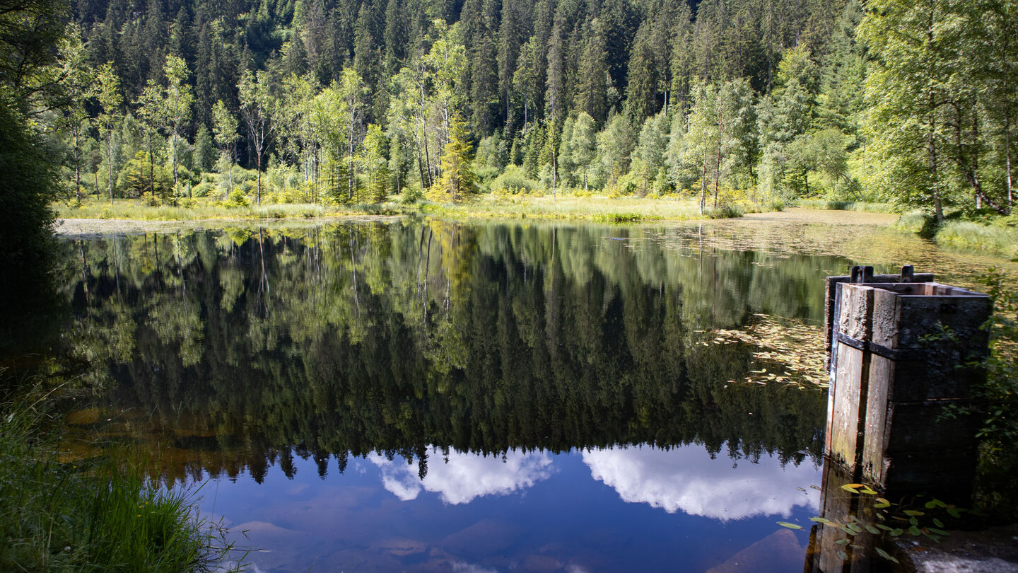 der Ellbachsee ist ein Highlight der Naturgewaltentour