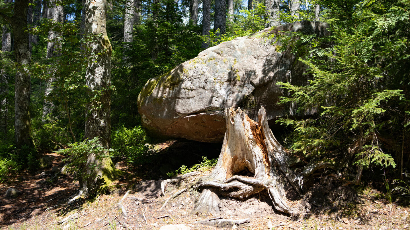 gewaltiger Findling entlang der Naturgewaltentour