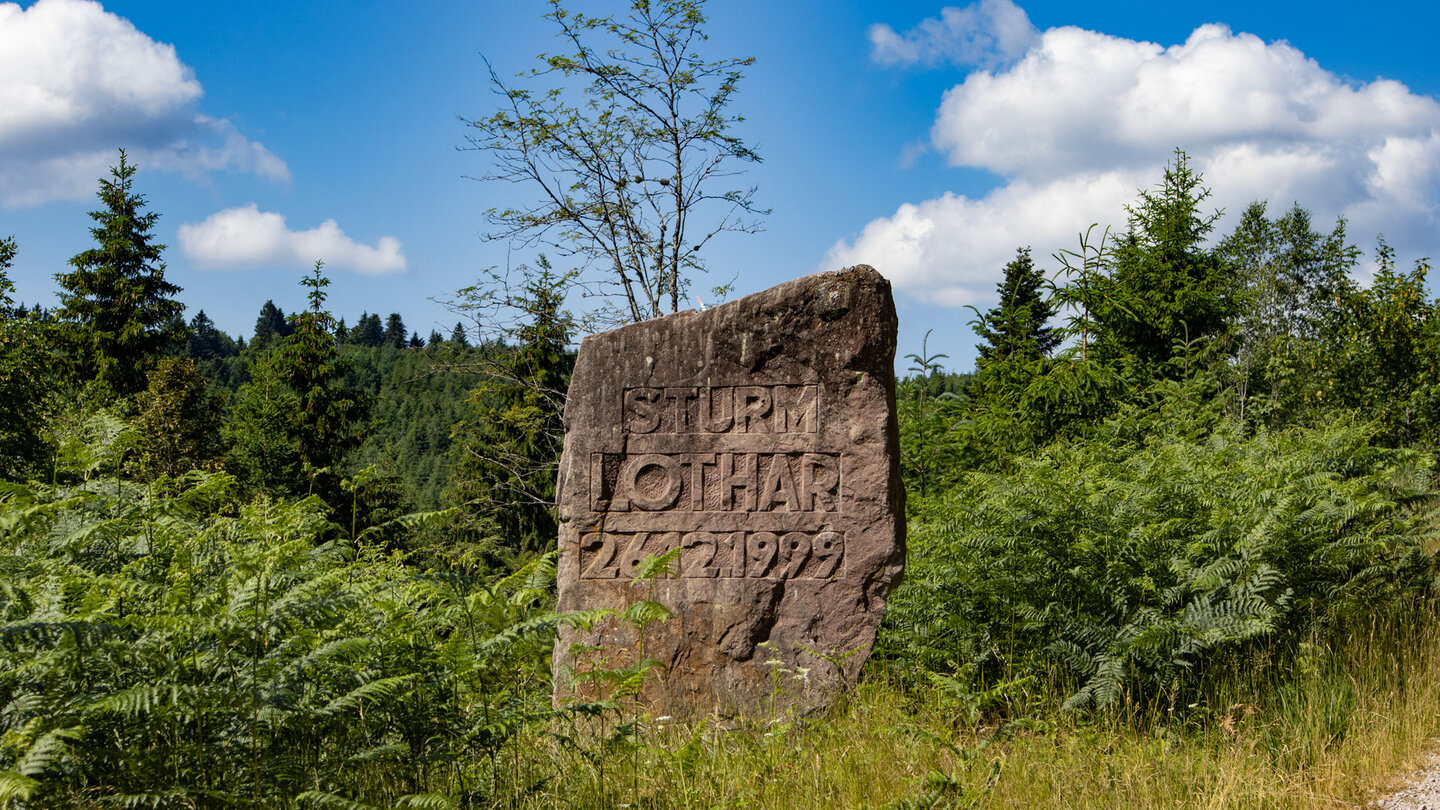 Gedenkstein zum Sturm Lothar