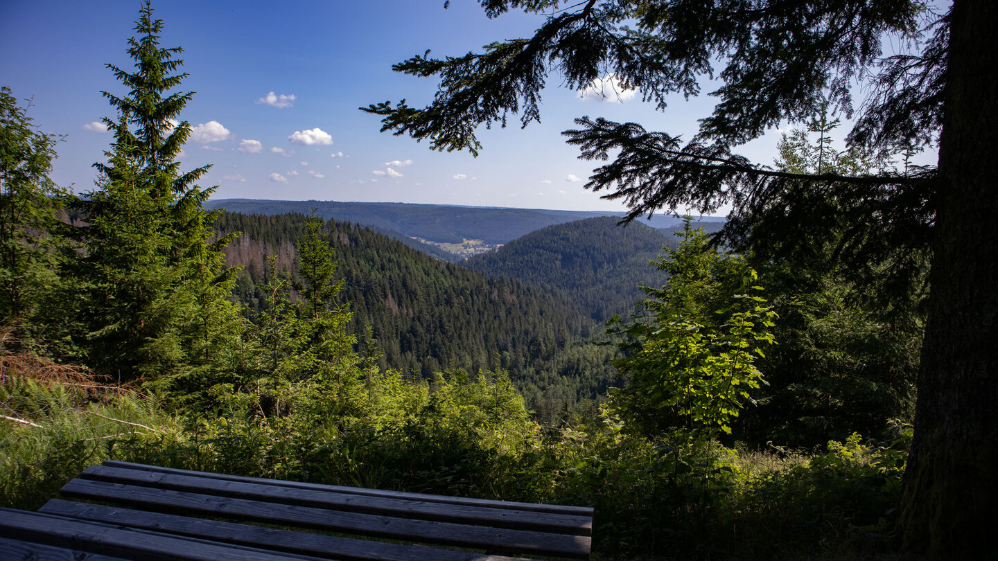 Rastmöglichkeit am Bösellbach-Talblick