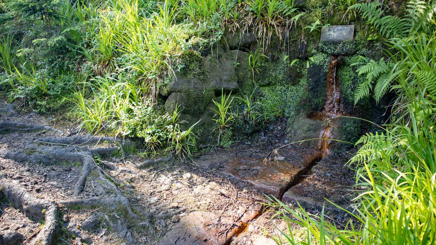 der Sauerbrunnen auf der Naturgewaltentour