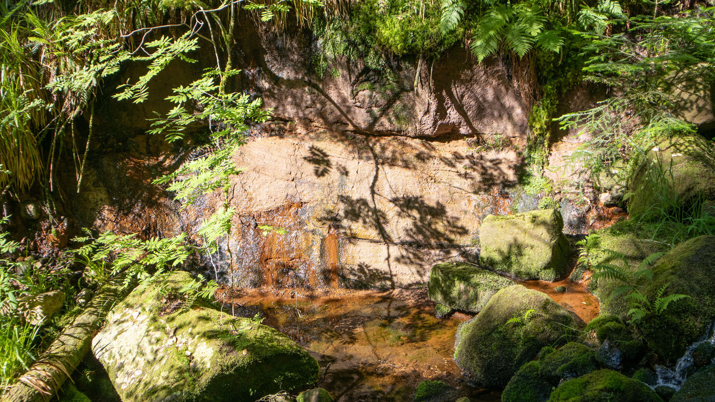 Buntsandstein am Bachlauf des Bösen Ellbach