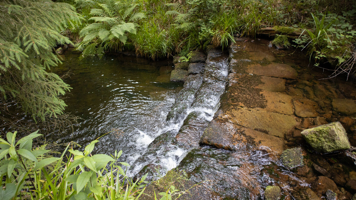 künstlich angelegte Stufen im Bachlauf des Bösen Ellbach