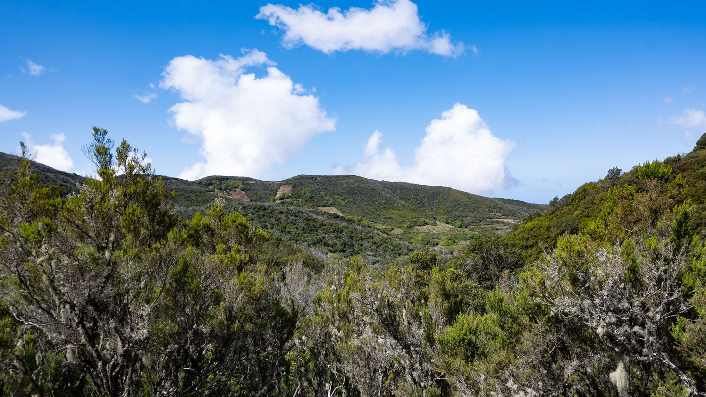 Blick über die offene Buschlandschaft des Nationalparks Garajonay