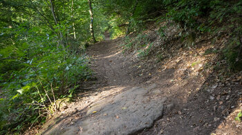 Wanderweg durchs Naturschutzgebiet Zeppelinhalde bei Nothweiler