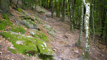 Wanderweg zur Burg Hohenbourg