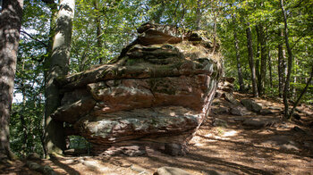 Felsformation am Felsensteig auf dem Weg zur Burg Fleckenstein