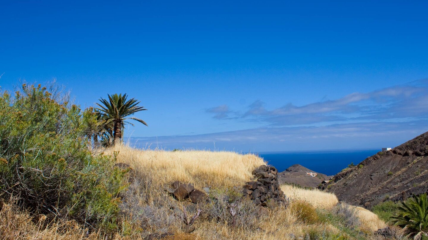 Blick zum Meer vom Wanderweg auf Gomera