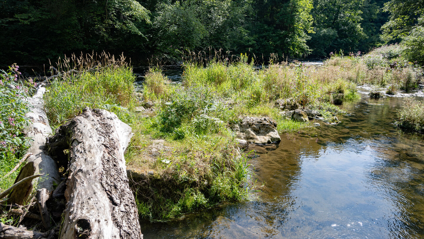 idyllische Flussinsel auf der Wutach