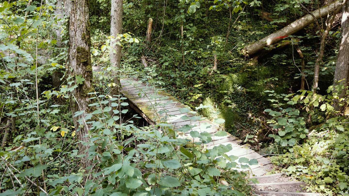 die Wanderung führt über Stege und Treppchen durch die Wutachflühen