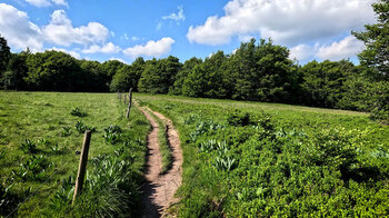 Wanderweg bei Trois Fours