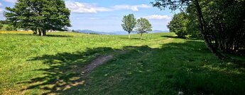 Hochebene bei Trois Fours beim botanischen Gartens Jardin d'altitude du Haut Chitelet