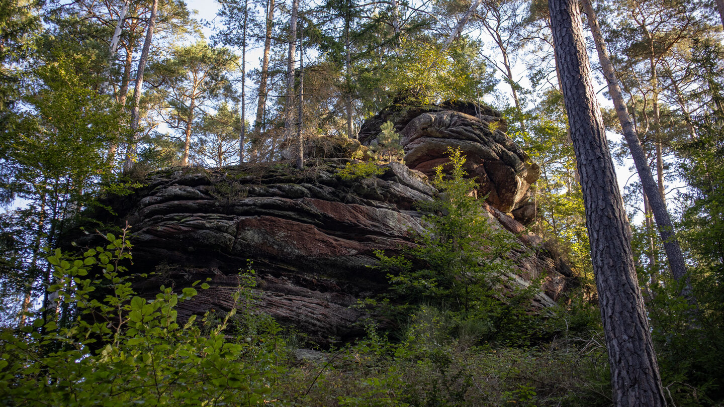 der Froschfelsen