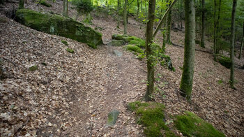 Wanderpfad beim Aufstieg zu den Hohlen Felsen